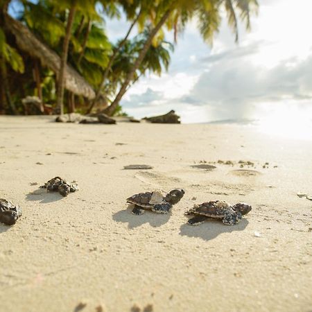 Calala Island Set Net Exterior foto